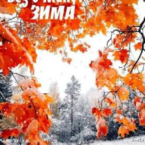 4ee40b2f6c4835337dda394dad0b4d70