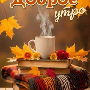 510541e031aff6afa1b70cbb398ee8a2