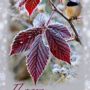 57f6848c3fd9ffc9f8f898e730fbe2be