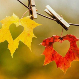 591579d7e26a4a31c89d0baf00423110