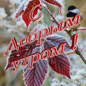 666a53567afef59166a4952e2e7e48af