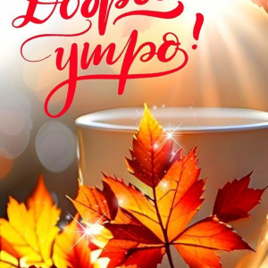 6721f518d36eaafa56e0eb76ac08a0fb