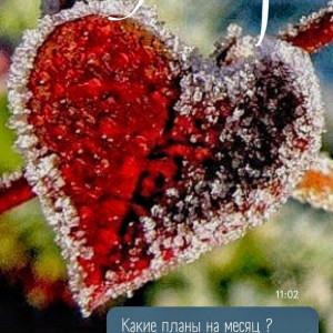 6985a3be8a0680cbdc5f228debe1e686