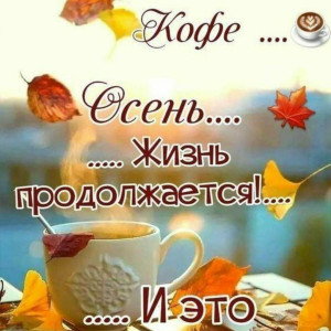 6fd2b22958b20c746ea8940b524a8fd4