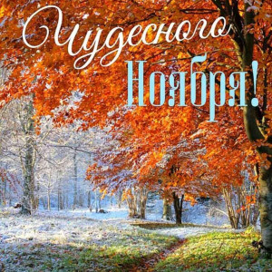 76d8fd46c2f7baf58eab3d0a941dd813