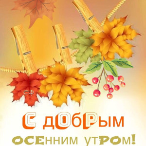 7afb15543b491cac8b49f39e538ac5e9