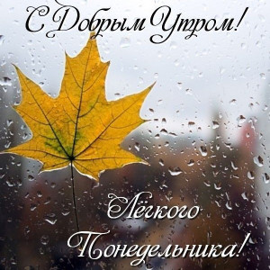 7ed029a15ff5c6aa52b10514664e7253