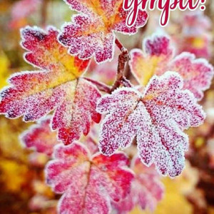 84e288a945faae21365e0a6d02eb9cd0