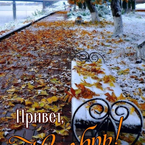 8738871227bb49a484a412ba603c6395