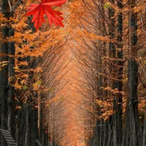 911b3db0b94b9dd5fc839a6367bed140