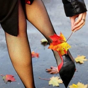 97c84fea5ad8a803caaf2883f82125fd