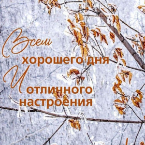 9a5ff580eb9ee2e4dd8eb55a6df3c915