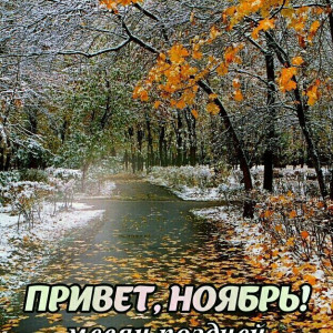 a5e5585fdb127bc7362a13b328b910f4