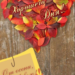 a644766a7d433c7902aeb7ca98fceec1