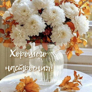 b50d8d1fa12932ba982ce0aca4c93a59