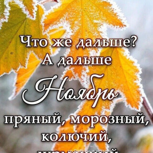 b6eb594d69a8baae39adac4f5de5b502