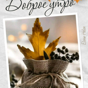 0e228793b7ee3e97b27f70d7668d61ae