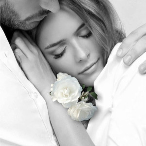 36c86e5137402278edd23f2c91c5a9a2