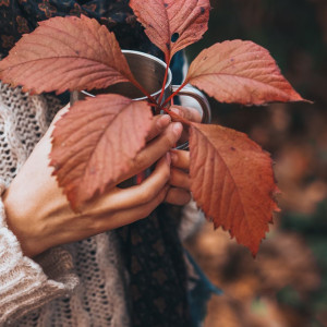 410218fbb5ed251f9daed2a85e5e8e30