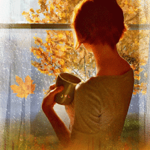 42917eadc9d1c004bf5f7be261766d88