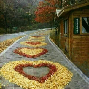 459abc886b2be1993c658c5ff332fdf1