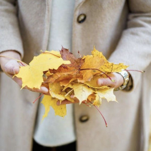 63832a03cabc9b036ee8a2a7177089f2