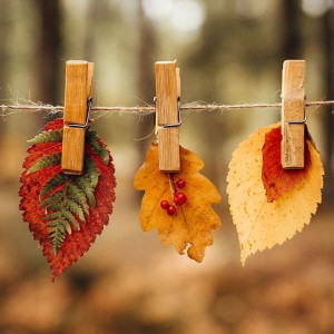 6fe85096c332f59cd51db376a4ca309a