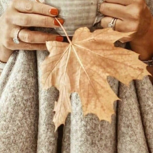 74cf6b8608a82dd7387cbe142f4f7608