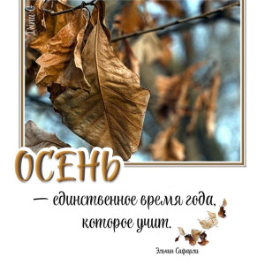 7a484737127a5695388e766b8edbbd43