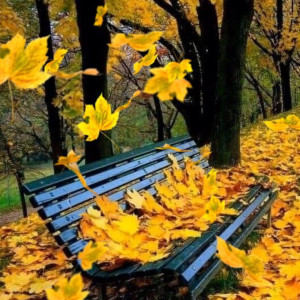 7f26504941ce15f6400cb4117c1fabd7