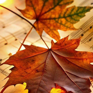 8cf16b8411ff292007adfb177e6012ae