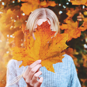 99990219e27a8a4a79a2eaa575fa82f6