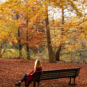 a5686167dd1d2e2f0ac5708fc2028afc