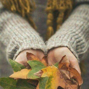 ad3d79db4c51a303b9b3f6cde7e192a5