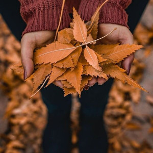 bd9673046976508193cca0fd23e9aeeb