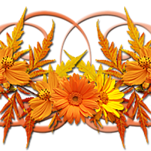 foni-papik-pro-d825-p-kartinki-razdelitel-osen-na-prozrachnom-fo-28