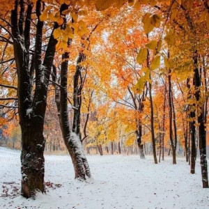 465387304_1093026169140457_1449469500437697222_n