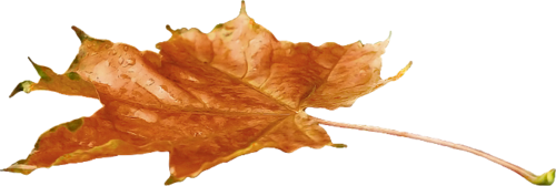 142493953_r17.png