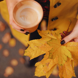 15c4a59f85094f47bfb7077969c96707