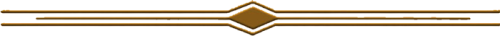 164947959_zaws.png