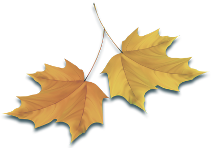 164964570_1__231_.png