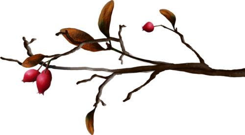 164997343_Autumn_Gold__8__60_.png
