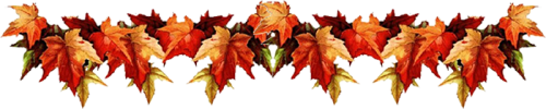 165005686_rsol1.png