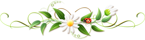 165006109_tre.png