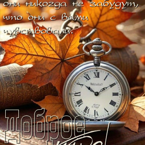 4032a32a6204fc57af356c1cbdd9ba21