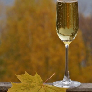 4aefcac2df04090665c5c19a768a032c