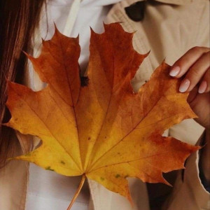 51821ea48fe27abfd617edb21bf57006