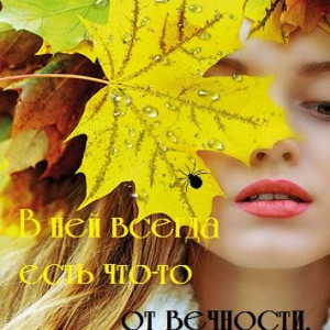 6b17b2f64e6706a8a81cfe78dda5a662