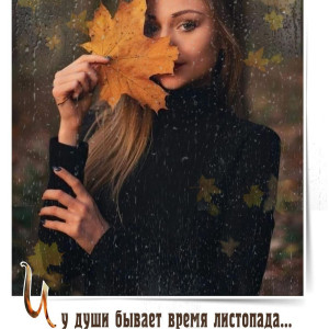 8683d6711506942cb1efc4889fc07343