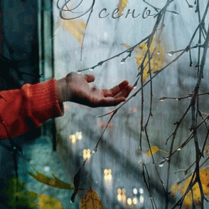 8cc2de8867f0b81f1166d075a9f7a854